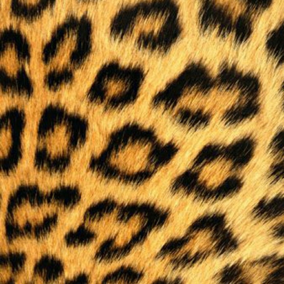 Meet your Posher, Laura - Picture 1 of 1